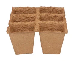 6 X 6 Cm Anzuchttopf Strips (32 Stück) | Anzuchttöpfe Von Sogo -Samenhaus Geschäft 548516 6 x 6 cm Organic Toepfe strips 32 Stueck 887312 sg 2