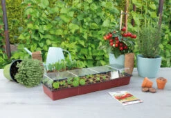 Fensterbank Gewächshaus | Zimmergewächshaus Von Sogo -Samenhaus Geschäft 548522 Fensterbank Gewaechshaus 887340 sg 2