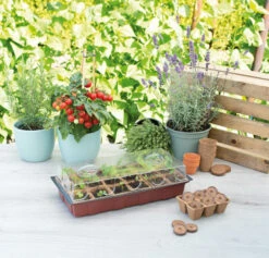 Gewächshaus (18 Töpfe) | Zimmergewächshaus Von Sogo -Samenhaus Geschäft 548523 Gewaechshaus mit 18 Toepfe 887342 sg 2