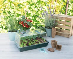 Gewächshaus Mit Belüftung | Zimmergewächshaus Von Sogo -Samenhaus Geschäft 548525 Gewaechshaus mit Belueftung 887346 sg 3