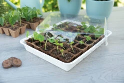 Eco Propagator (30 Töpfe) | Anzuchtschalen Von Sogo -Samenhaus Geschäft 548526 Eco Propagator mit 30 Torftoepfen 887348 sg 3