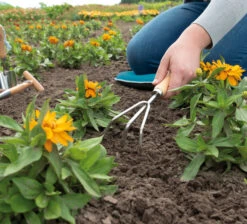 Handharke | Gartengeräte Von Sogo -Samenhaus Geschäft 548544 Handharke 887436 sg 3