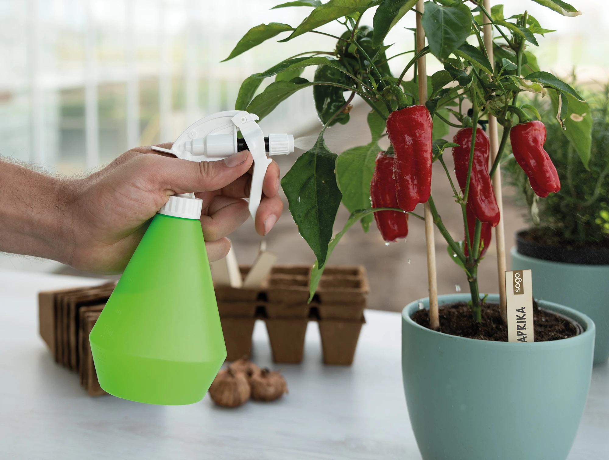 Wasserzerstäuber (0,5 L) | Gartengeräte Von Sogo 4 Wasserzerstäuber (0,5 L) | Gartengeräte Von Sogo – Bild 2