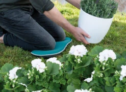 Kniekissen Blau | Gartengeräte Von Sogo -Samenhaus Geschäft 548561 Kniekissen blau 887510 sg 4