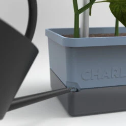 Charly Chili Chilitopf Blau | Chilitöpfe Von Gusta Garden -Samenhaus Geschäft 548626 Charly Chili Chilitopf blau 104710 gg 3