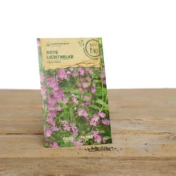 Wildblumen Set Stay Wild | BIO Wildblumensamen Von Samen Maier -Samenhaus Geschäft 549603 BIO Wildblumen Set Stay Wild A02 sm 1