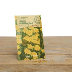 Wildblumen Set Stay Wild | BIO Wildblumensamen Von Samen Maier -Samenhaus Geschäft 549603 BIO Wildblumen Set Stay Wild A02 sm 2