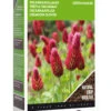 Gründünger Inkarnatklee (200 G) | Gründünger Von Buzzy Seeds -Samenhaus Geschäft 549680 Gruenduenger Inkarnatklee 200 g 881523 by 0