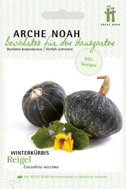 Winterkürbis Reigel | BIO Kürbissamen Von Arche Noah