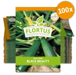 Zucchini Black Beauty (100 Stück) | Zucchinisamen Von FLORTUS 7 Zucchini Black Beauty (100 Stück) | Zucchinisamen Von FLORTUS -Samenhaus Geschäft 549854 Zucchini Black Beauty 100 Stueck 2000 0471 100x 0