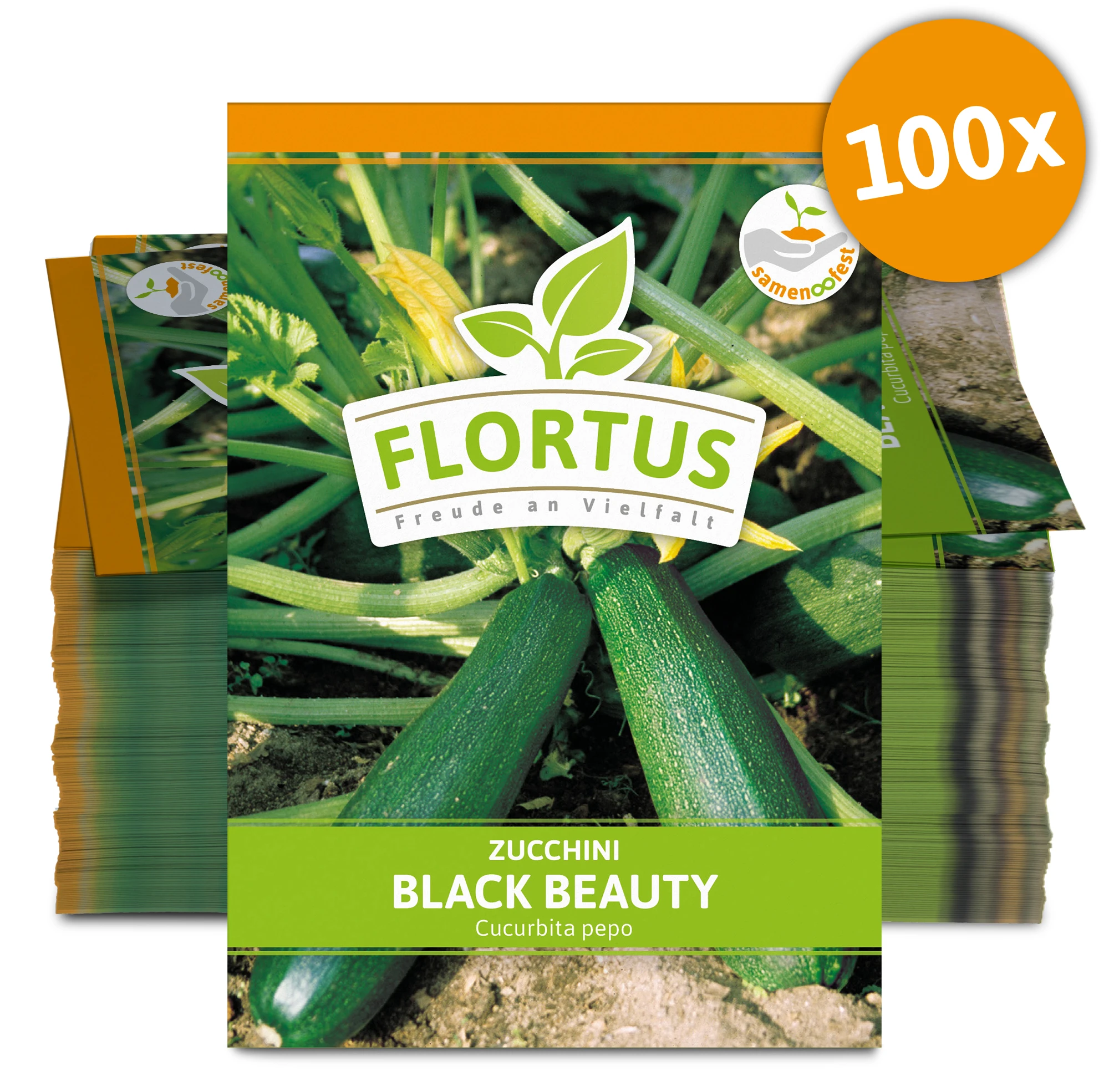 Zucchini Black Beauty (100 Stück) | Zucchinisamen Von FLORTUS 5 Zucchini Black Beauty (100 Stück) | Zucchinisamen Von FLORTUS – Bild 3