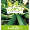 Zucchini Black Beauty (100 Stück) | Zucchinisamen Von FLORTUS 1 Zucchini Black Beauty (100 Stück) | Zucchinisamen Von FLORTUS -Samenhaus Geschäft 549854 Zucchini Black Beauty 100 Stueck 2000 0471 100x 1
