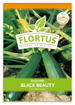 Zucchini Black Beauty (100 Stück) | Zucchinisamen Von FLORTUS