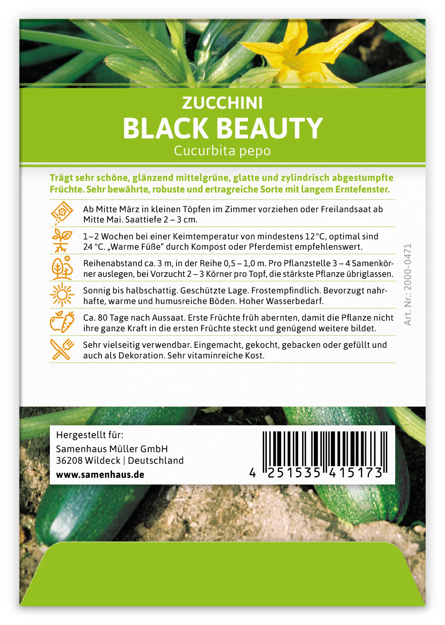 Zucchini Black Beauty (100 Stück) | Zucchinisamen Von FLORTUS 4 Zucchini Black Beauty (100 Stück) | Zucchinisamen Von FLORTUS – Bild 2