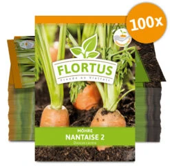 Möhre Nantaise 2 (100 Stück) | Möhrensamen Von FLORTUS 7 Möhre Nantaise 2 (100 Stück) | Möhrensamen Von FLORTUS -Samenhaus Geschäft 549855 Moehre Nantaise 2 100 Stueck 2000 0472 100x 0