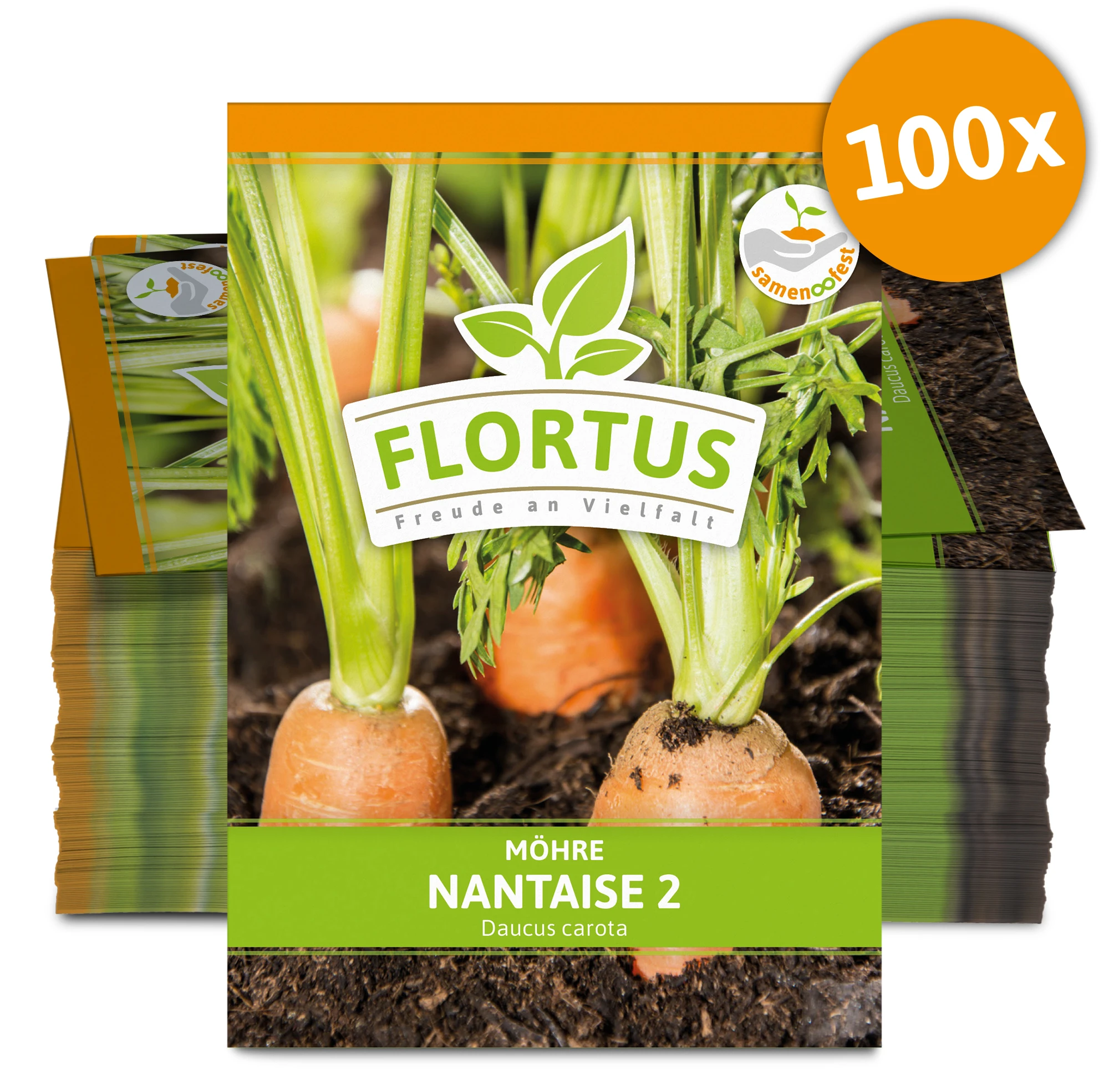 Möhre Nantaise 2 (100 Stück) | Möhrensamen Von FLORTUS 5 Möhre Nantaise 2 (100 Stück) | Möhrensamen Von FLORTUS – Bild 3