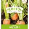Möhre Nantaise 2 (100 Stück) | Möhrensamen Von FLORTUS -Samenhaus Geschäft 549855 Moehre Nantaise 2 100 Stueck 2000 0472 100x 1