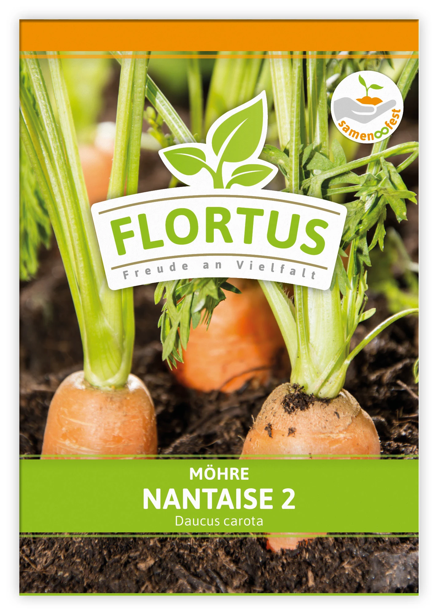 Möhre Nantaise 2 (100 Stück) | Möhrensamen Von FLORTUS 3 Möhre Nantaise 2 (100 Stück) | Möhrensamen Von FLORTUS