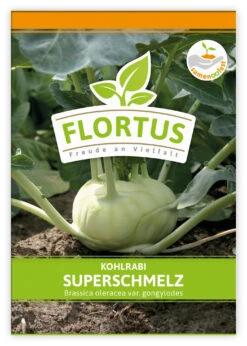 Kohlrabi Superschmelz (100 Stück) | Kohlrabisamen Von FLORTUS -Samenhaus Geschäft 549856 Kohlrabi Superschmelz 100 Stueck 2000 0473 100x 1