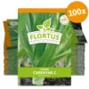 Lauch-Porree Carentan 2 (100 Stück) | Lauchsamen Von FLORTUS 1 Lauch-Porree Carentan 2 (100 Stück) | Lauchsamen Von FLORTUS -Samenhaus Geschäft 549857 Lauch Porree Carentan 2 100 Stueck 2000 0474 100x 0