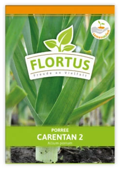 Lauch-Porree Carentan 2 (100 Stück) | Lauchsamen Von FLORTUS -Samenhaus Geschäft 549857 Lauch Porree Carentan 2 100 Stueck 2000 0474 100x 1