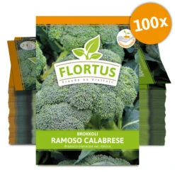Brokkoli Ramoso Calabrese (100 Stück) | Brokkolisamen Von FLORTUS -Samenhaus Geschäft 549858 Brokkoli Ramoso Calabrese 100 Stueck 2000 0475 100x 0