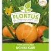 Hokkaidokürbis Uchiki Kuri (100 Stück) | Hokkaidokürbissamen Von FLORTUS -Samenhaus Geschäft 549859 Hokkaidokuerbis Uchiki Kuri 100 Stueck 2000 0476 100x 1