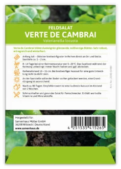 Feldsalat Verte De Cambrai (100 Stück) | Feldsalatsamen Von FLORTUS -Samenhaus Geschäft 549863 Feldsalat Verte de Cambrai 100 Stueck 2000 0480 100x 2