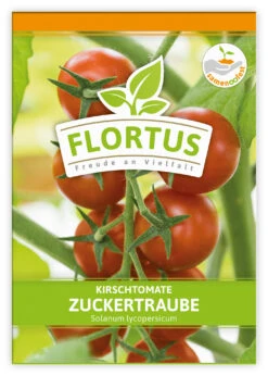 Kirschtomate Zuckertraube (100 Stück) | Kirschtomatensamen Von FLORTUS -Samenhaus Geschäft 549864 Kirschtomate Zuckertraube 100 Stueck 2000 0481 100x 1