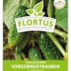 Einlegegurke Vorgebirgstrauben (100 Stück) | Einlegegurkensamen Von FLORTUS -Samenhaus Geschäft 549867 Einlegegurke Vorgebirgstrauben 100 Stueck 2000 0484 100x 1