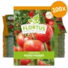 Tomate Moneymaker (100 Stück) | Tomatensamen Von FLORTUS -Samenhaus Geschäft 549868 Tomate Moneymaker 100 Stueck 2000 0485 100x 0