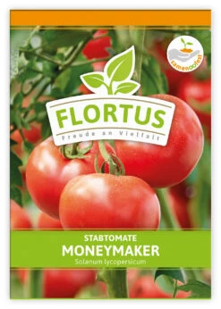 Tomate Moneymaker (100 Stück) | Tomatensamen Von FLORTUS -Samenhaus Geschäft 549868 Tomate Moneymaker 100 Stueck 2000 0485 100x 1