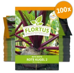 Rote Beete Rote Kugel 2 (100 Stück) | Rote Beetesamen Von FLORTUS