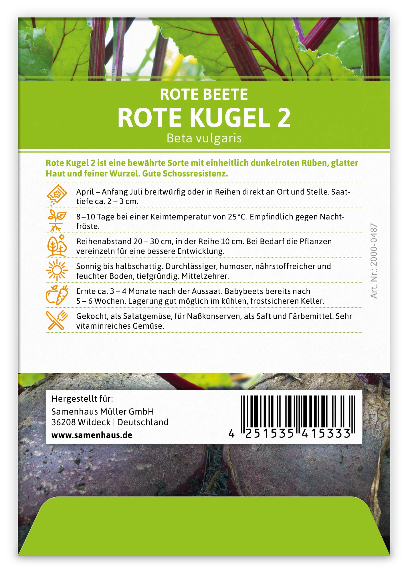 Rote Beete Rote Kugel 2 (100 Stück) | Rote Beetesamen Von FLORTUS 5 Rote Beete Rote Kugel 2 (100 Stück) | Rote Beetesamen Von FLORTUS – Bild 3