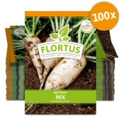 Rettich Rex (100 Stück) | Rettichsamen Von FLORTUS -Samenhaus Geschäft 549872 Rettich Rex 100 Stueck 2000 0489 100x 0