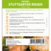 Zwiebel Stuttgarter Riesen (100 Stück) | Zwiebelsamen Von FLORTUS -Samenhaus Geschäft 549873 Zwiebel Stuttgarter Riesen 100 Stueck 2000 0490 100x 2