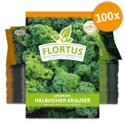 Grünkohl Halbhoher Krauser (100 Stück) | Grünkohlsamen Von FLORTUS 7 Grünkohl Halbhoher Krauser (100 Stück) | Grünkohlsamen Von FLORTUS -Samenhaus Geschäft 549878 Gruenkohl Halbhoher Krauser 100 Stueck 2000 0495 100x 0