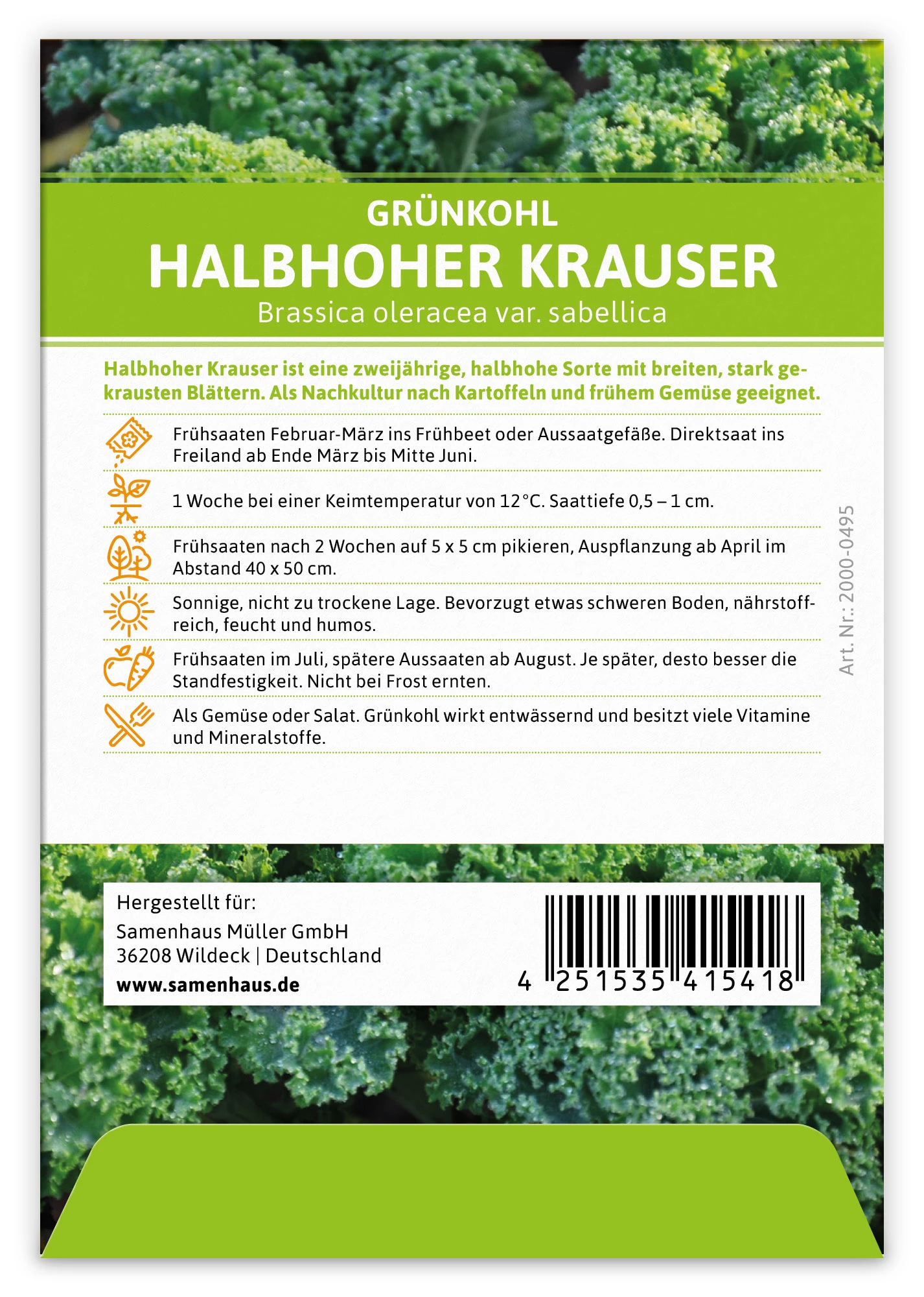 Grünkohl Halbhoher Krauser (100 Stück) | Grünkohlsamen Von FLORTUS 3 Grünkohl Halbhoher Krauser (100 Stück) | Grünkohlsamen Von FLORTUS