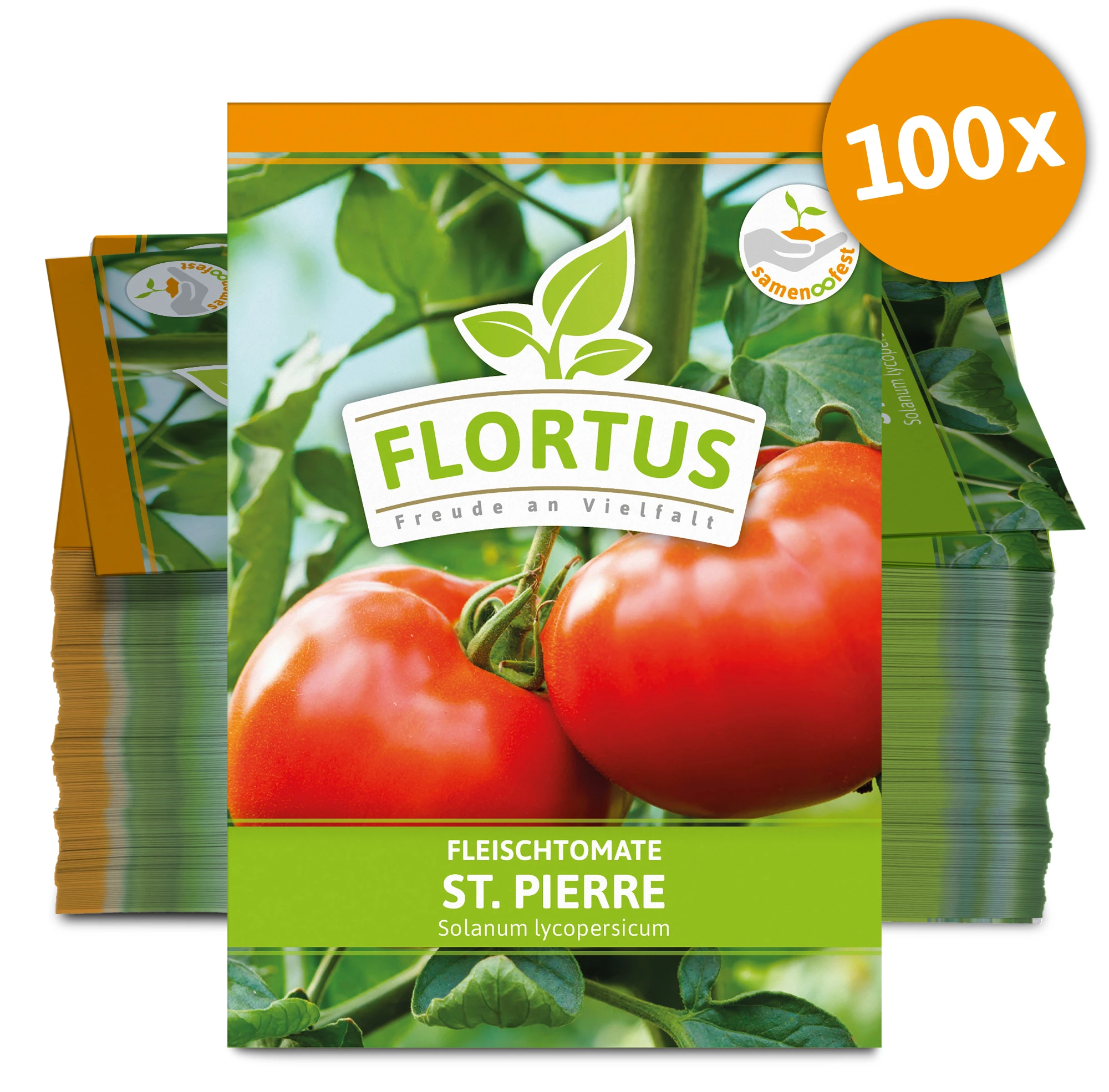 Fleischtomate St. Pierre (100 Stück) | Fleischtomatensamen Von FLORTUS 4 Fleischtomate St. Pierre (100 Stück) | Fleischtomatensamen Von FLORTUS – Bild 2
