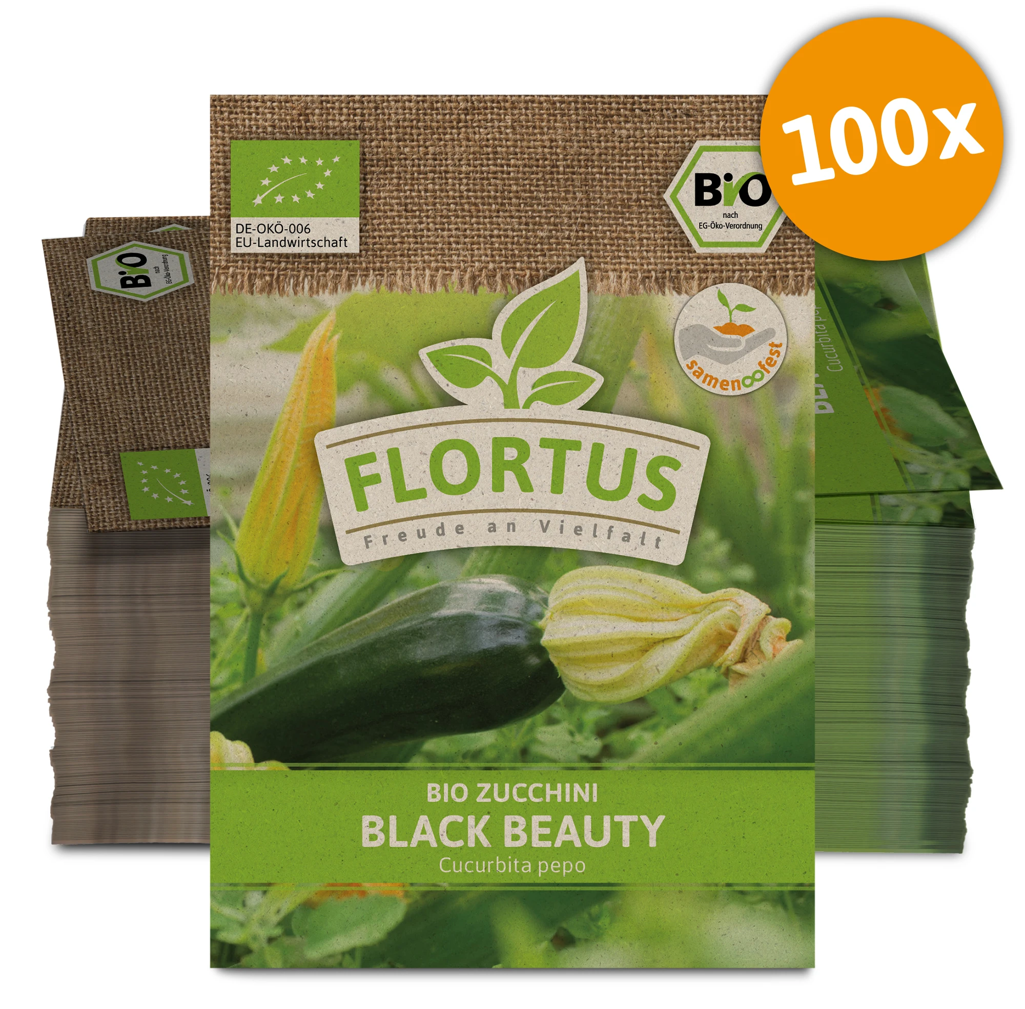 Zucchini Black Beauty (100 Stück) | BIO Zucchinisamen Von FLORTUS 5 Zucchini Black Beauty (100 Stück) | BIO Zucchinisamen Von FLORTUS – Bild 3