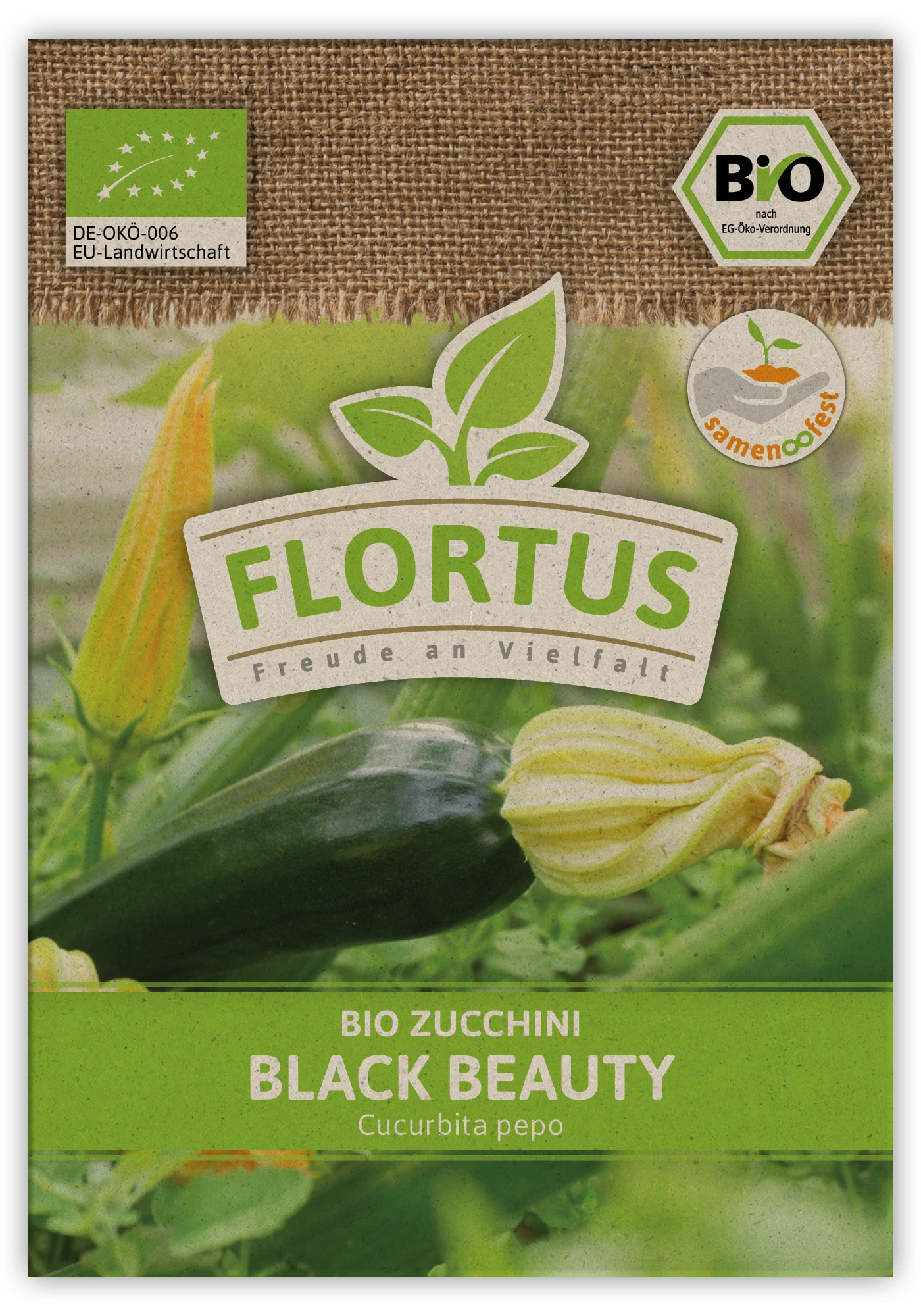 Zucchini Black Beauty (100 Stück) | BIO Zucchinisamen Von FLORTUS 4 Zucchini Black Beauty (100 Stück) | BIO Zucchinisamen Von FLORTUS – Bild 2