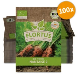 Möhre Nantaise 2 (100 Stück) | BIO Möhrensamen Von FLORTUS