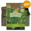 Lauch-Porree Carentan 2 (100 Stück) | BIO Lauchsamen Von FLORTUS -Samenhaus Geschäft 549884 BIO Lauch Porree Carentan 2 100 Stueck 2000 0501 100x 0