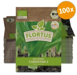 Lauch-Porree Carentan 2 (100 Stück) | BIO Lauchsamen Von FLORTUS