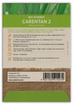 Lauch-Porree Carentan 2 (100 Stück) | BIO Lauchsamen Von FLORTUS -Samenhaus Geschäft 549884 BIO Lauch Porree Carentan 2 100 Stueck 2000 0501 100x 2