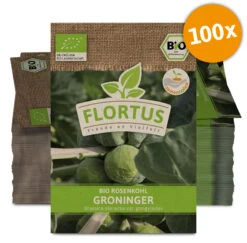 Rosenkohl Groninger (100 Stück) | BIO Kohlsamen Von FLORTUS