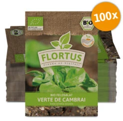 Feldsalat Verte De Cambrai (100 Stück) | BIO Salatsamen Von FLORTUS -Samenhaus Geschäft 549890 BIO Feldsalat Verte de Cambrai 100 Stueck 2000 0507 100x 0