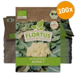 Blumenkohl Alpha 7 (100 Stück) | BIO Kohlsamen Von FLORTUS -Samenhaus Geschäft 549893 BIO Blumenkohl Alpha 7 100 Stueck 2000 0510 100x 0