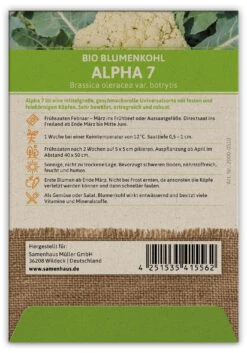 Blumenkohl Alpha 7 (100 Stück) | BIO Kohlsamen Von FLORTUS