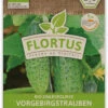 Einlegegurke Vorgebirgstrauben (100 Stück) | BIO Gurkensamen Von FLORTUS 1 Einlegegurke Vorgebirgstrauben (100 Stück) | BIO Gurkensamen Von FLORTUS -Samenhaus Geschäft 549894 BIO Einlegegurke Vorgebirgstrauben 100 Stueck 2000 0511 100x 1